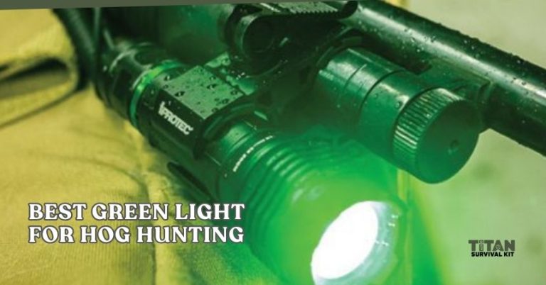 The 10 Best Green Light For Hog Hunting – Top Picks Of 2026 - Titan ...