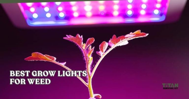 Our 10 Best Grow Lights For Weed Of 2026, Tested by Experts - Titan ...