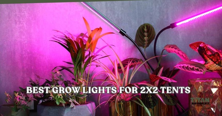 best grow lights for 2x2 tents