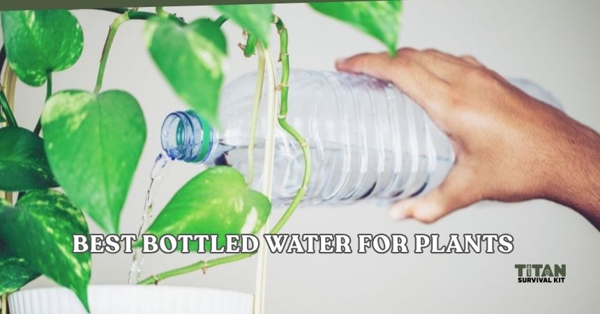 best bottled water for plants