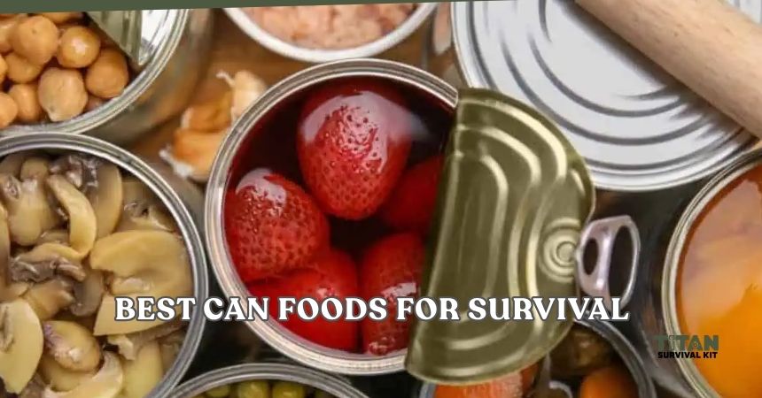 best can foods for survival