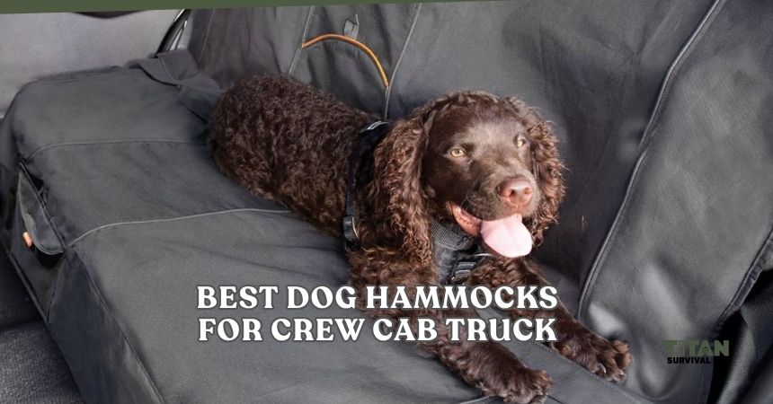 best dog hammocks for crew cab truck