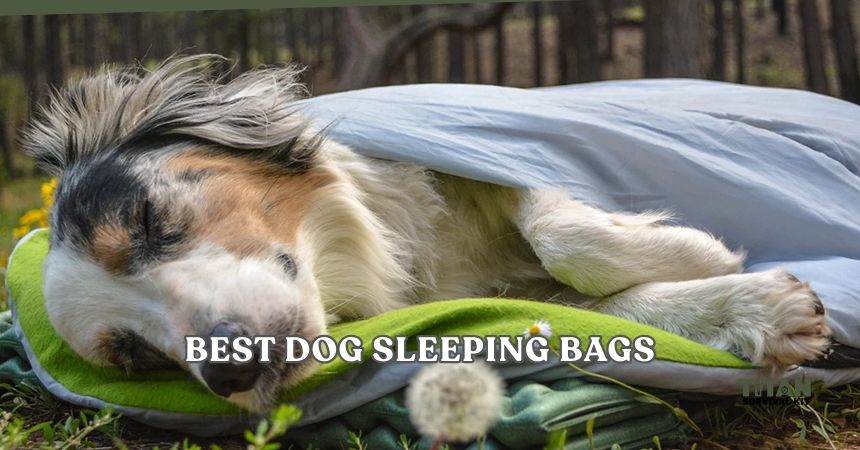 best dog sleeping bags