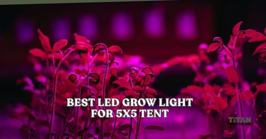 best led grow light for 5x5 tent