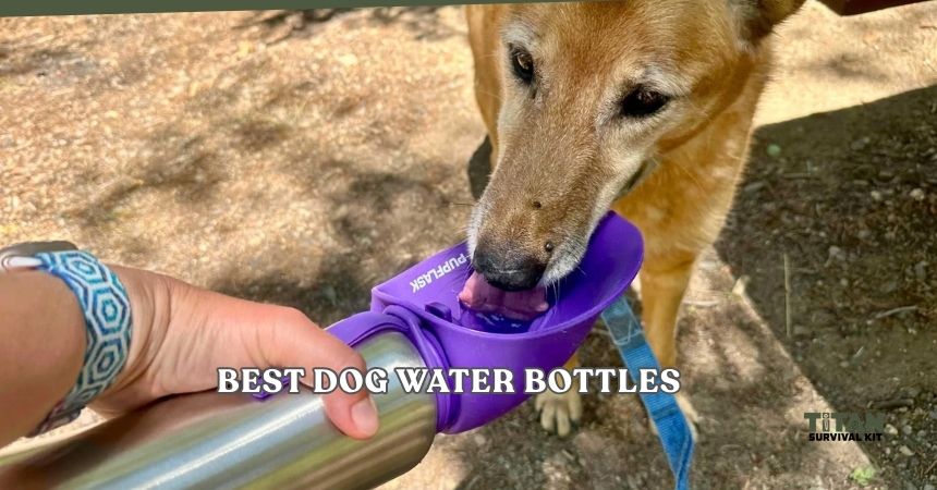 best dog water bottles