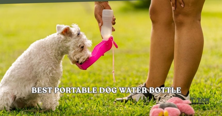 best portable dog water bottle