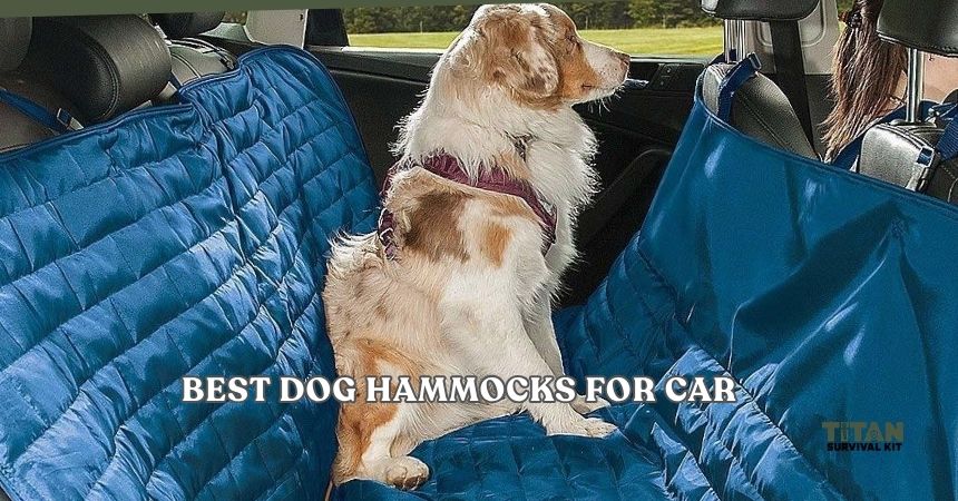 best dog hammocks for car