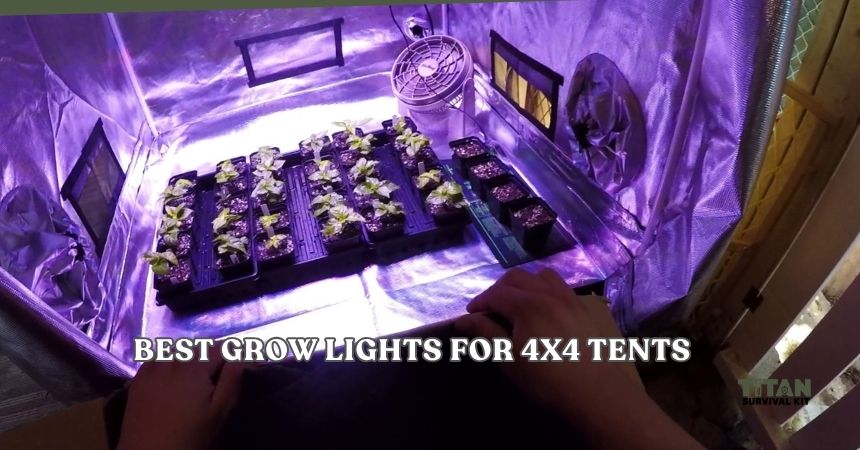 best grow lights for 4x4 tents